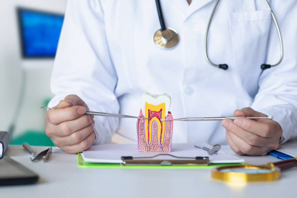 Best Emergency Orthodontic Services in Perry, OK